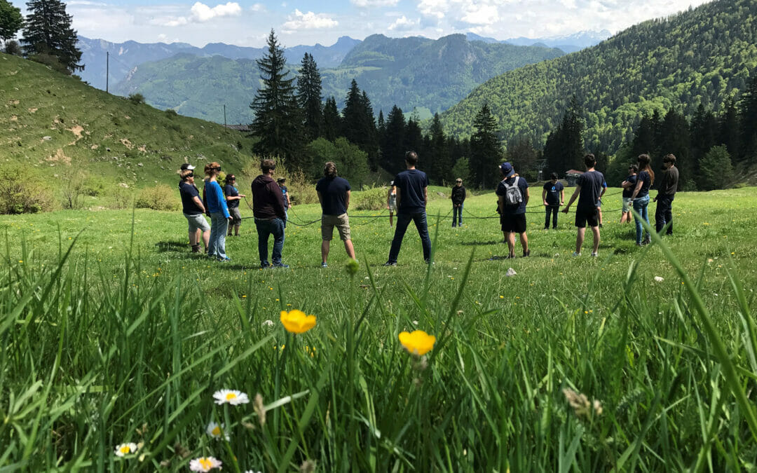 Teamentwicklung
